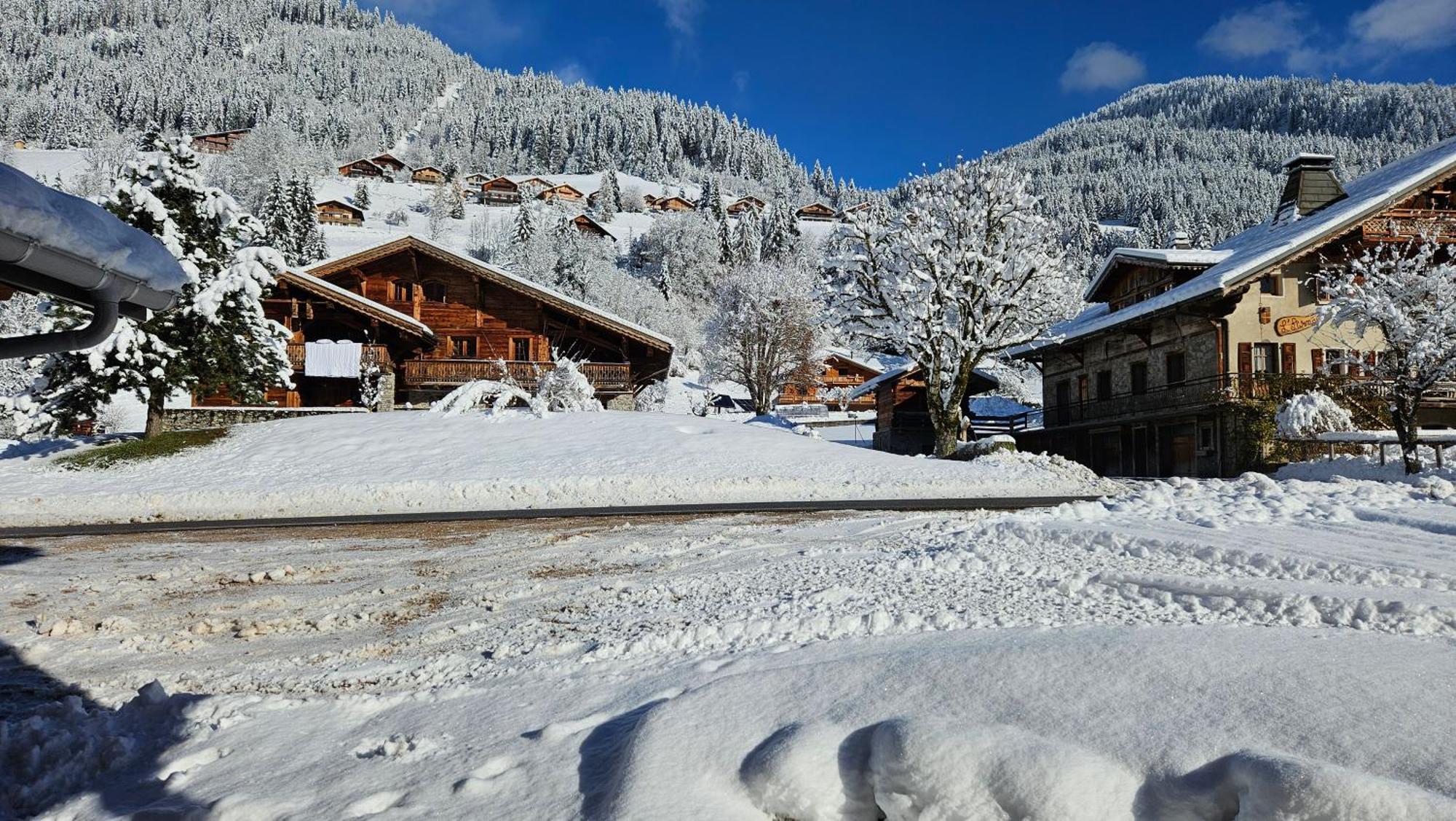 Demi-Chalet Vadel La Panthiaz 15 Pers 5 Chambres Abondance Esterno foto